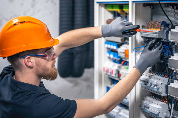 Best Electric Panel Repair  in Oak Ridge, FL
